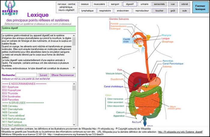 Lexique ReflexoEXPERT