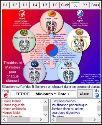 Les 5 elements et leurs troubles ReflexoEXPERT