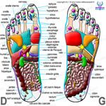 ReflexoExpert